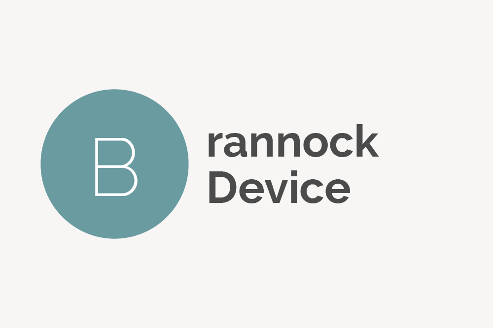 Brannock Device Definition 