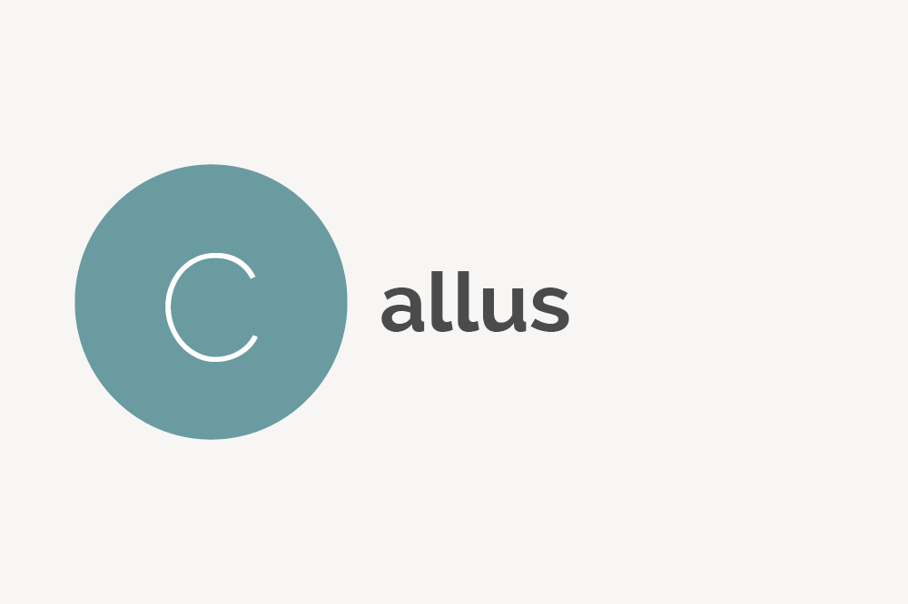Callus Definition 