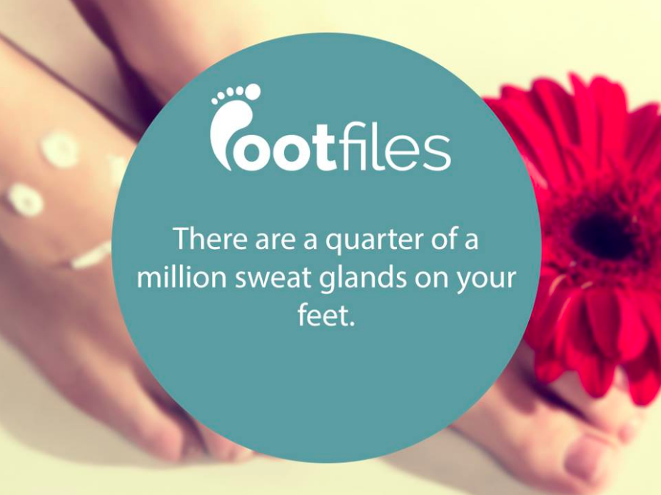 Footfiles Foot Fact Number Sweat Glands In Human Feet