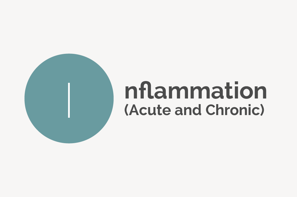 Inflammation Acute and Chronic Definition 