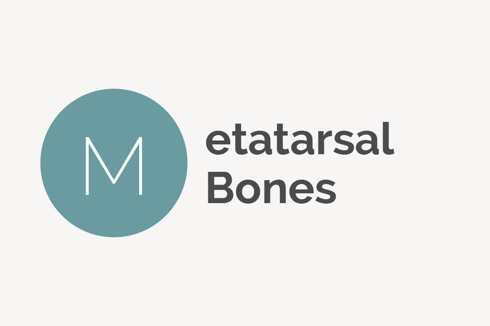 Metatarsal Bones