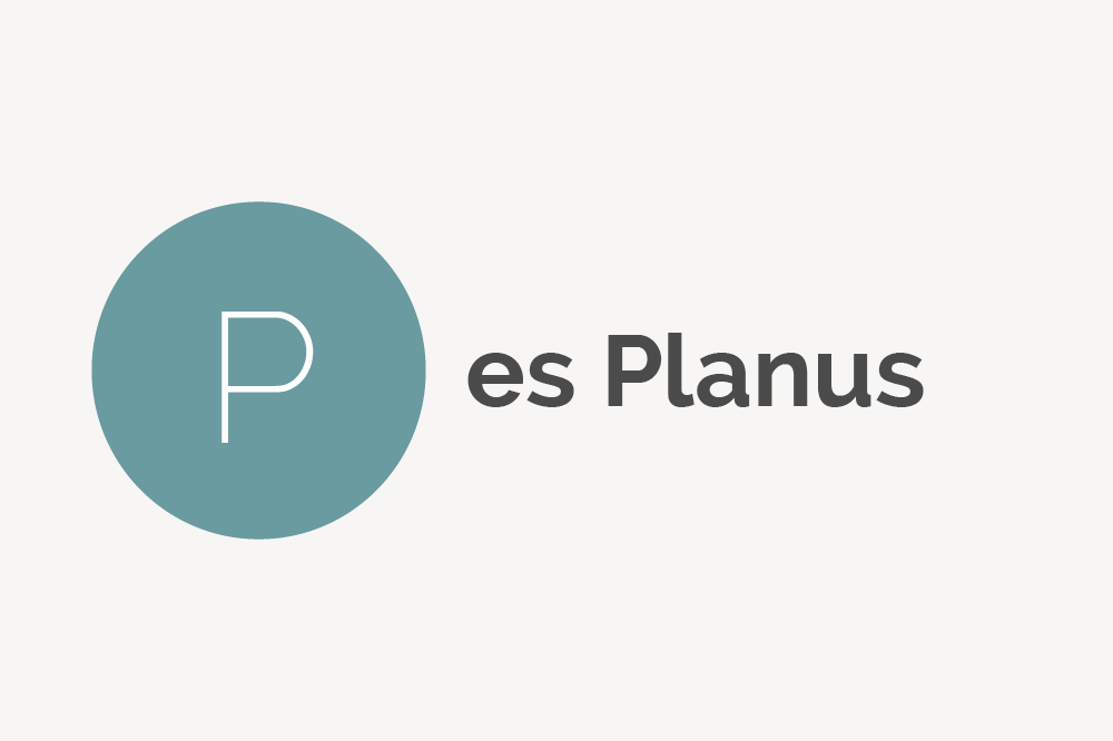 Pes Planus Definition 