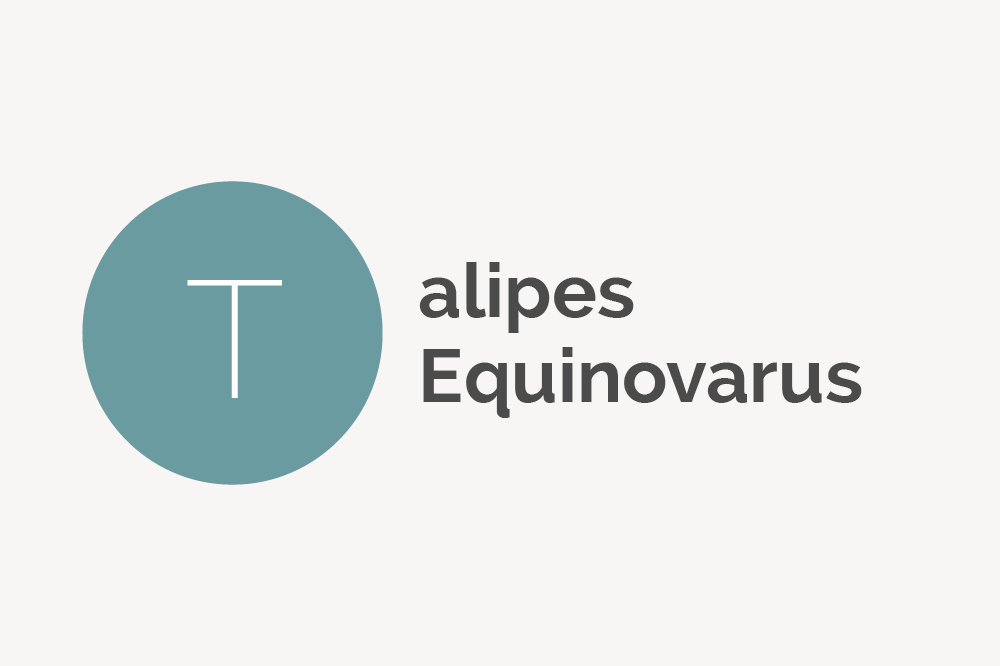Talipes Equinovarus Definition 